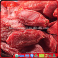 Baies de Goji superfood baies de goji teneur en sucre ce que les baies de goji goûtent